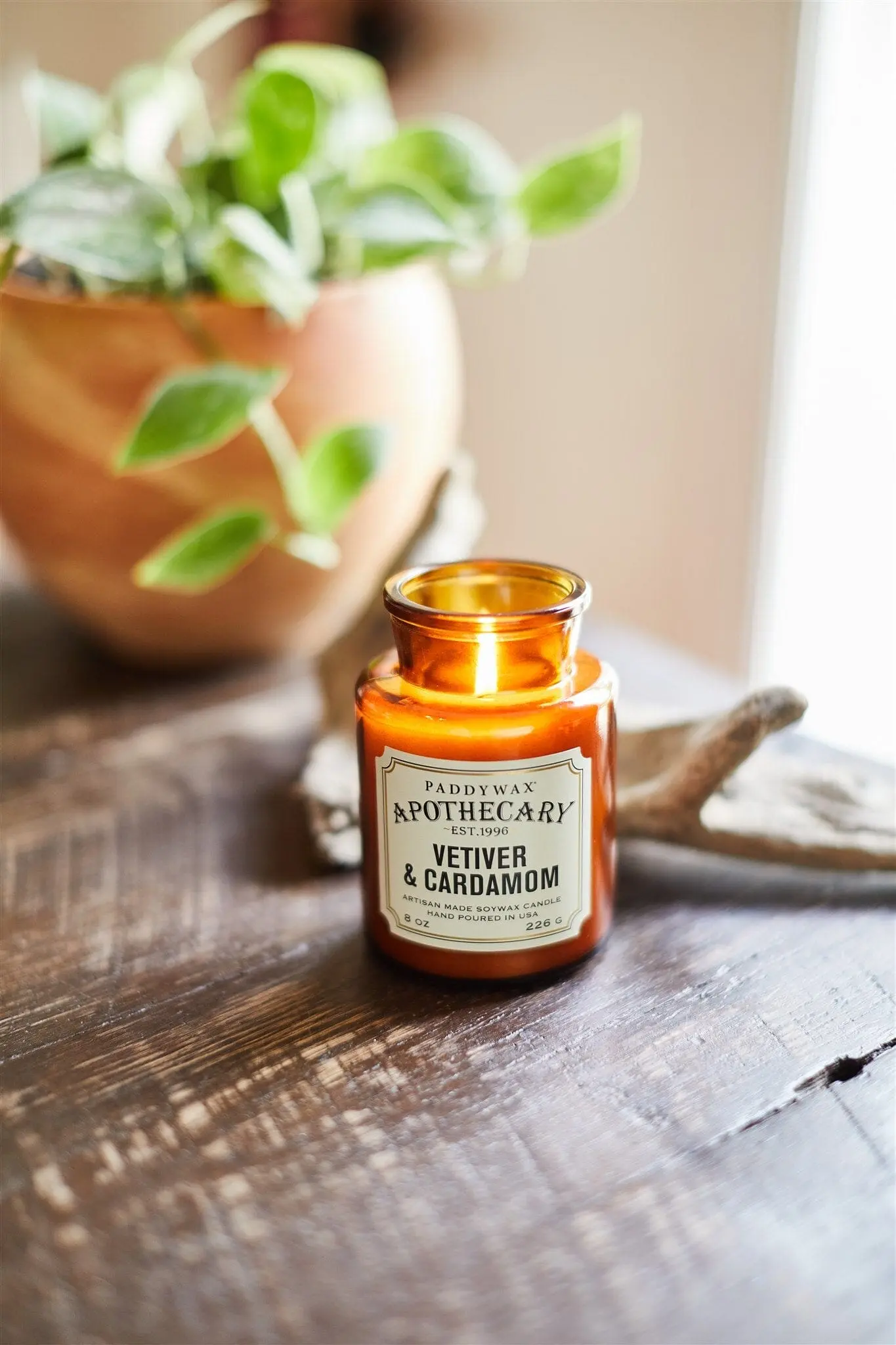 Vetiver + Cardamom - Apothecary 8 oz Candle - Image 2