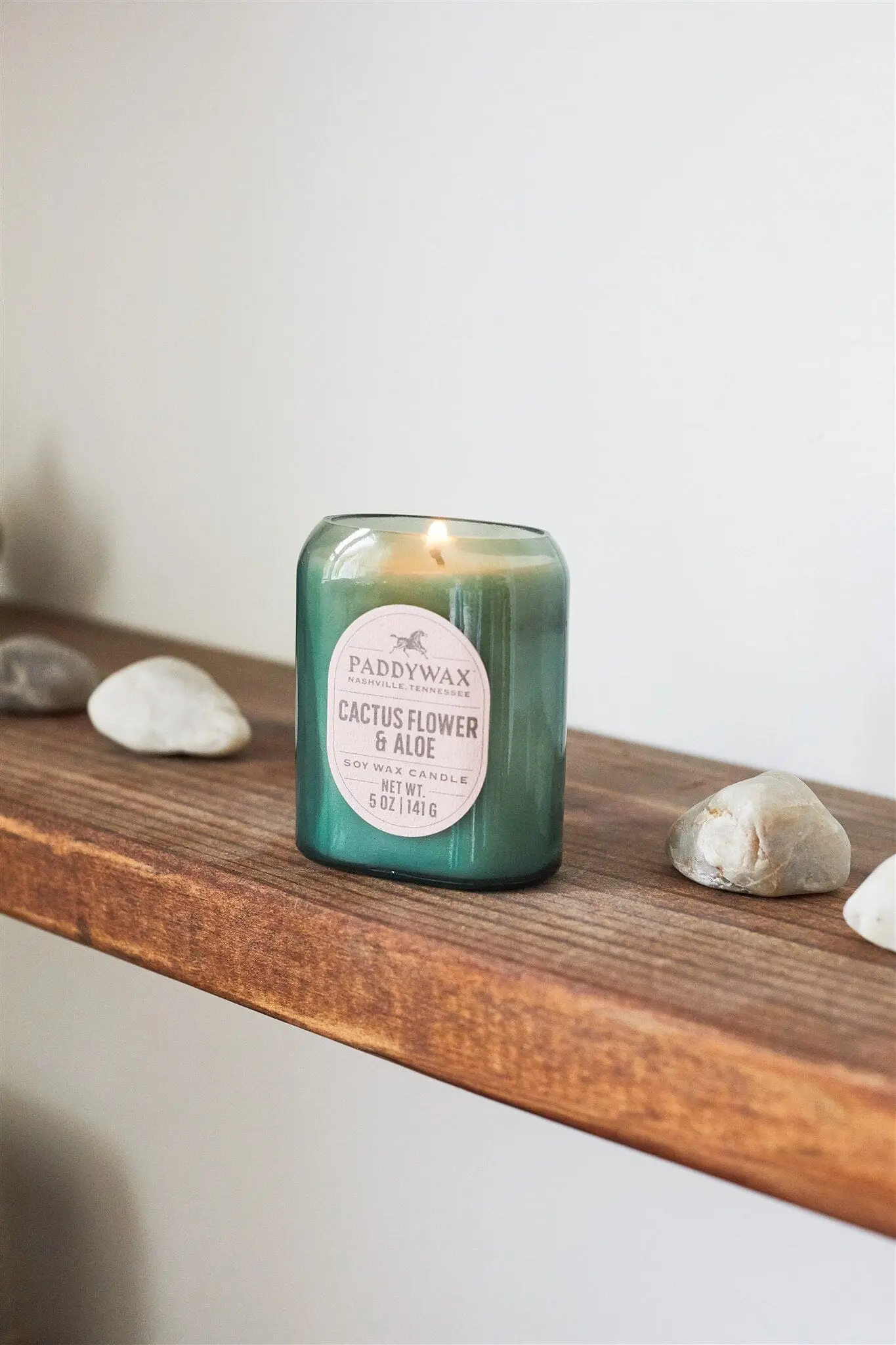 Cactus Flower & Aloe - Vista  5 oz Candle - Image 2