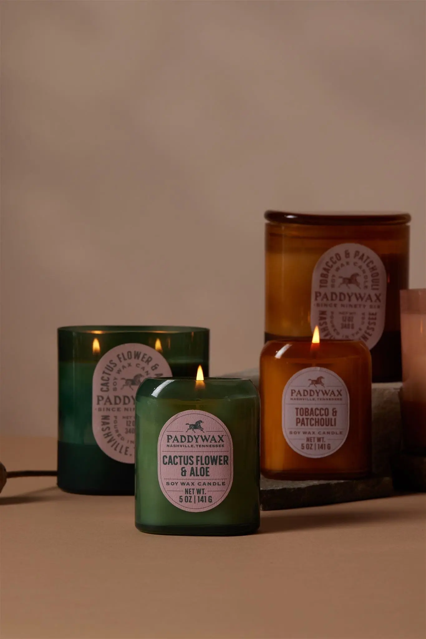 Cactus Flower & Aloe - Vista  5 oz Candle - Image 3