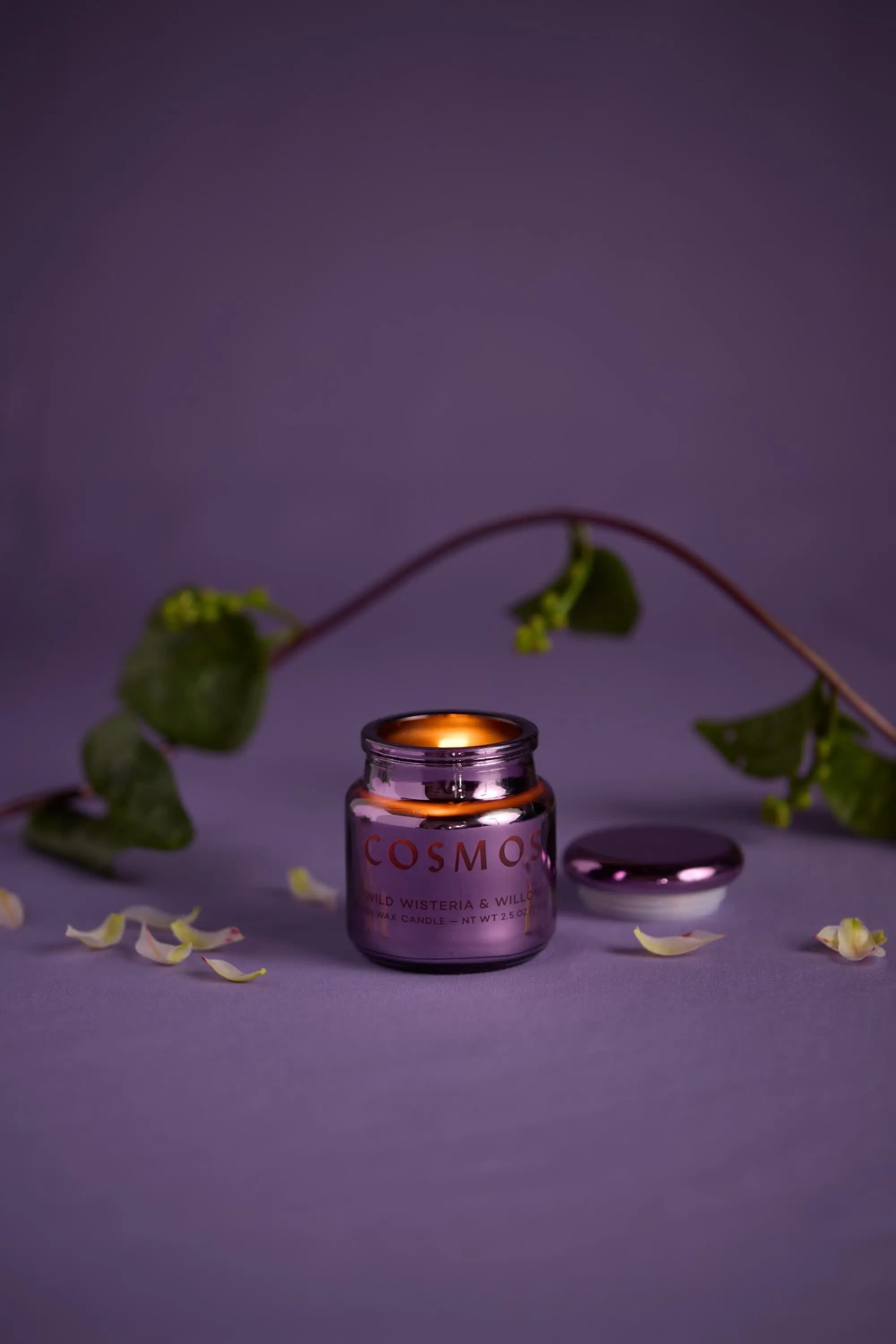 Wisteria & Willow - Chroma 2.5 oz Candle - Image 2