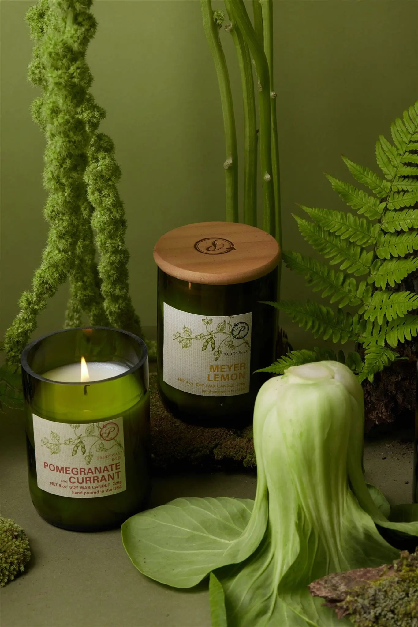Meyer Lemon - Eco 8 oz Candle - Image 2