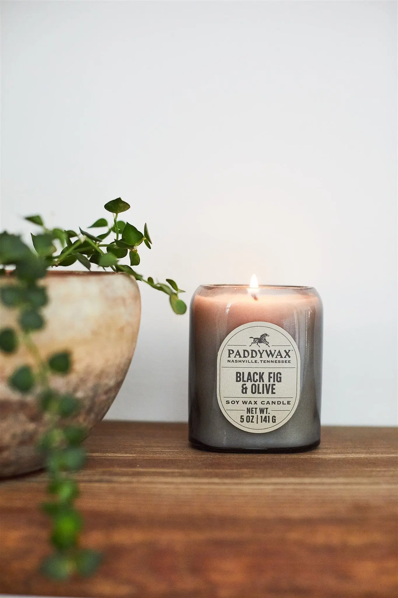 Black Fig & Olive - Vista 5 oz Candle - Image 2